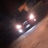 mynorfavalos173